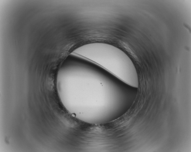 X0000099440259200805090754