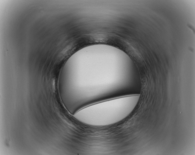 X0000099440262200805090754