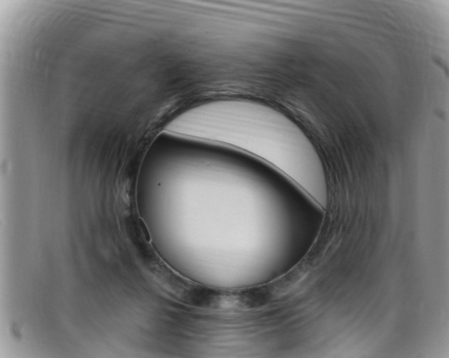 X0000099440264200805090754