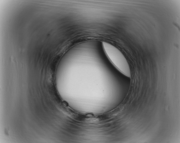 X0000099440266200805090754