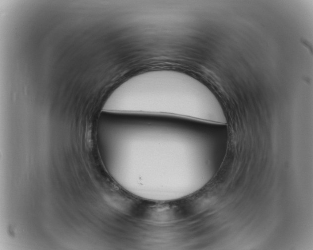 X0000099440267200805090754