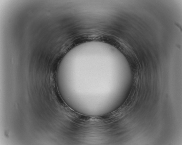X0000099440270200805090754