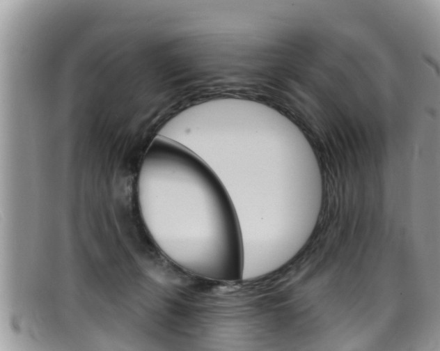 X0000099440271200805090754