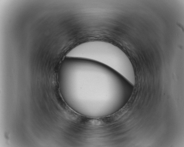 X0000099440272200805090754