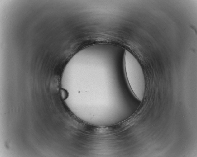 X0000099440273200805090754