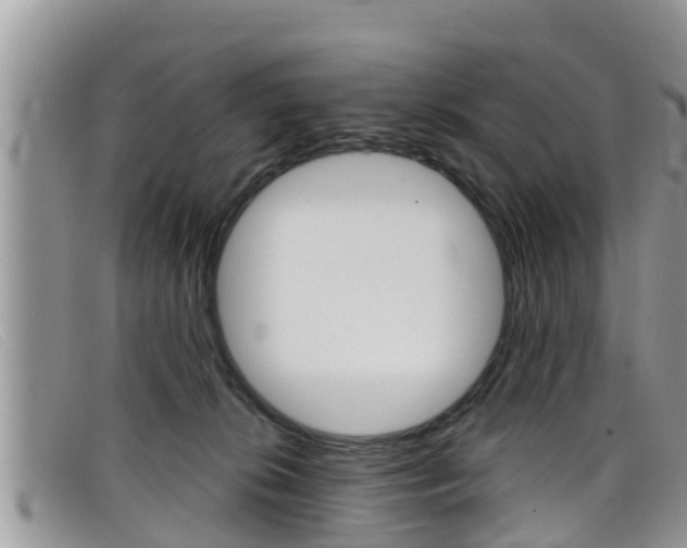 X0000099440276200805090754