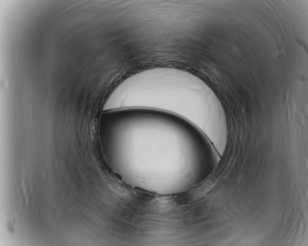 X0000099440280200805090754