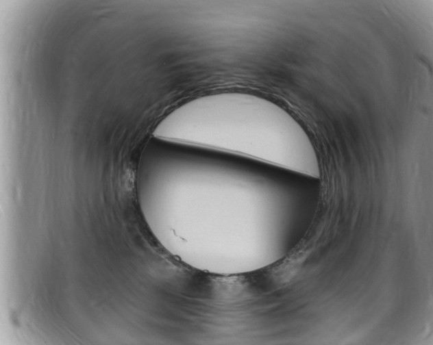X0000099440281200805090754