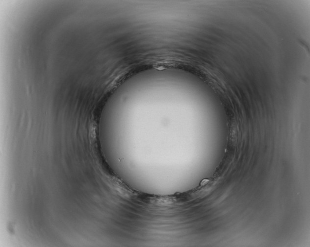 X0000099440282200805090754
