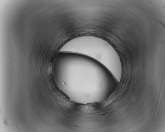 X0000099440284200805090754