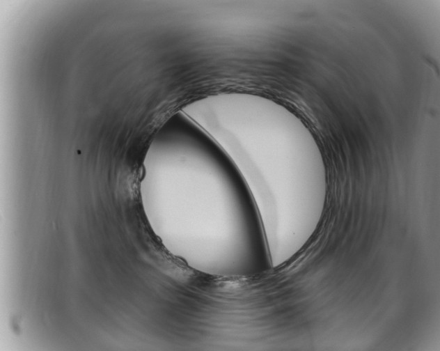 X0000099440285200805090754