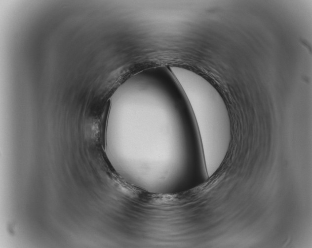 X0000099440288200805090754