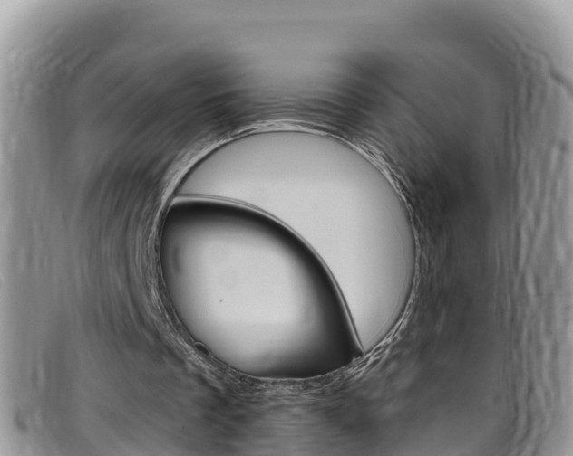 X0000099440289200805090754