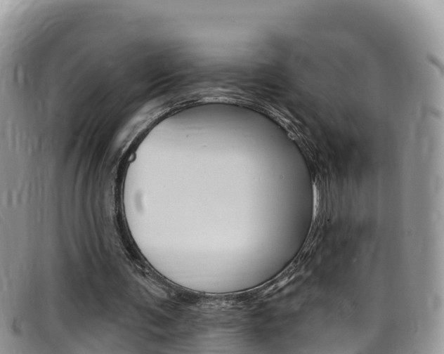 X0000099440291200805090754
