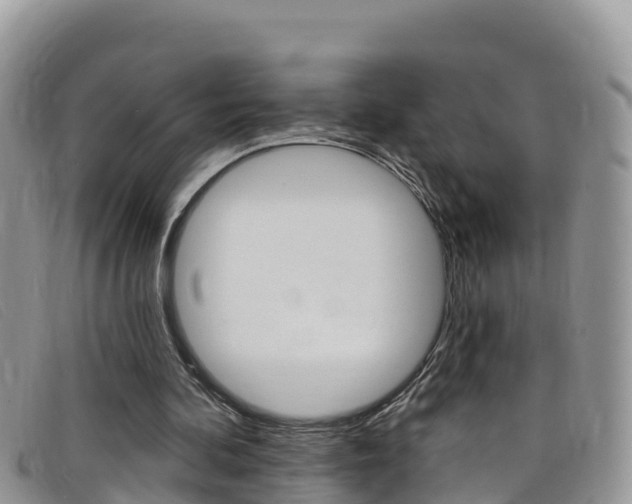 X0000099440292200805090753