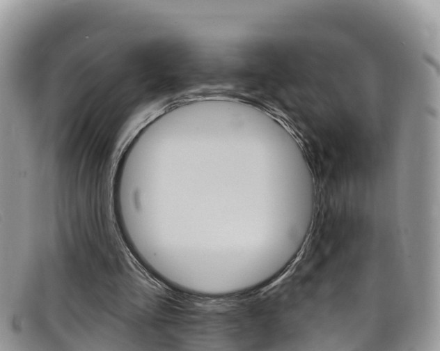 X0000099440293200805090753
