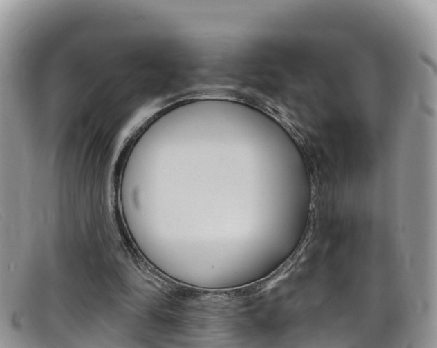 X0000099440294200805090753