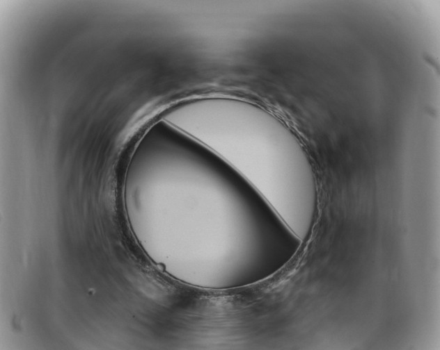 X0000099440295200805090753