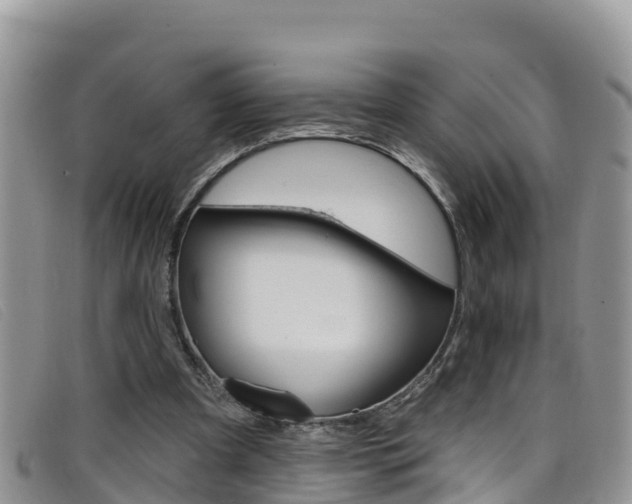 X0000099440297200805090753