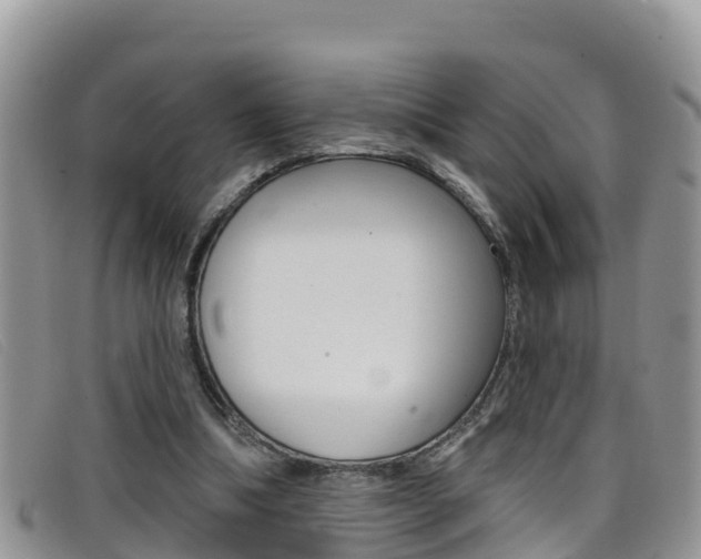 X0000099440298200805090753