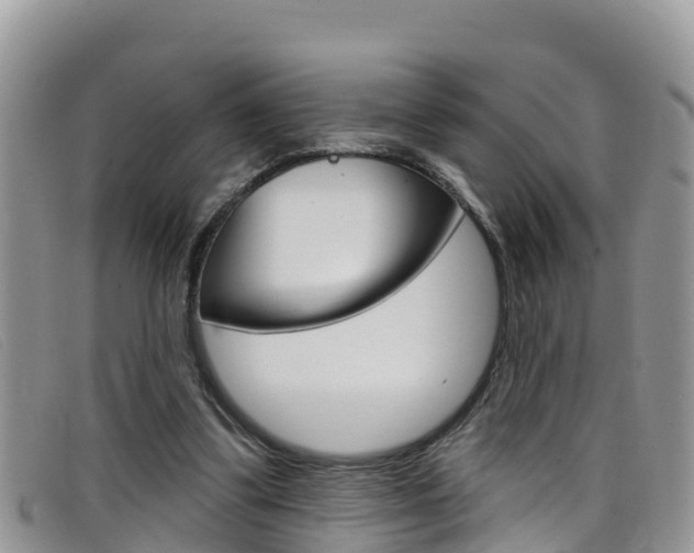 X0000099440299200805090753