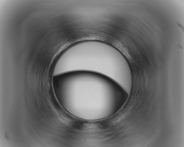 X0000099440300200805090753