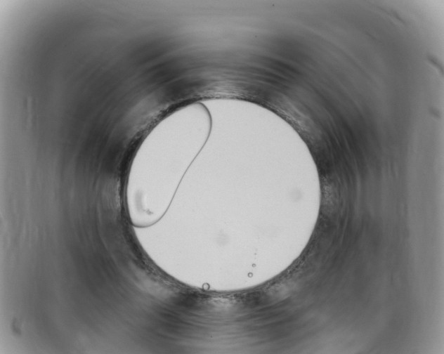 X0000099440302200805090753