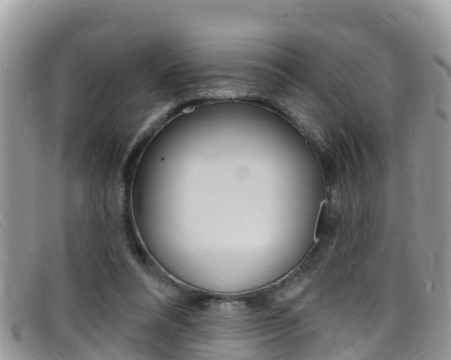 X0000099440304200805090753