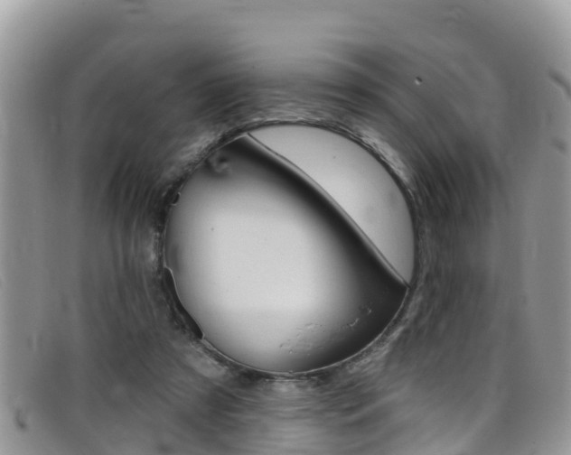 X0000099440305200805090753
