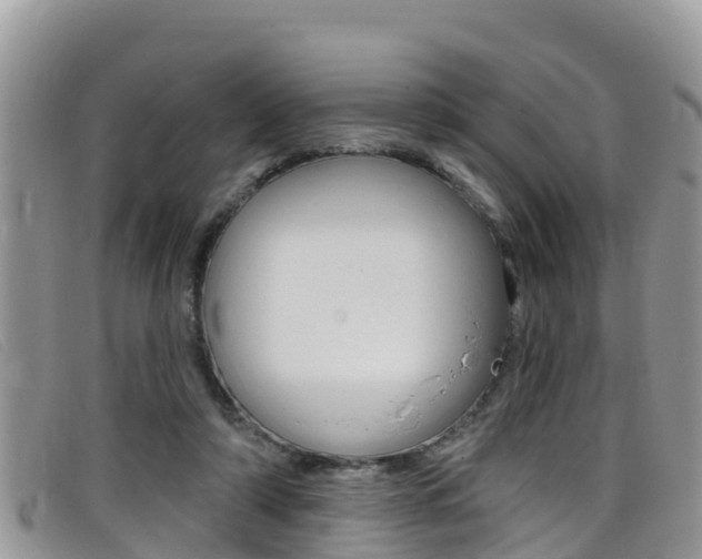X0000099440306200805090753