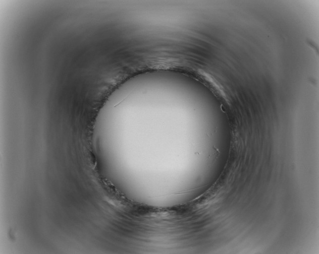 X0000099440307200805090753