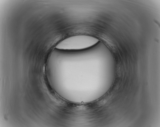 X0000099440310200805090753