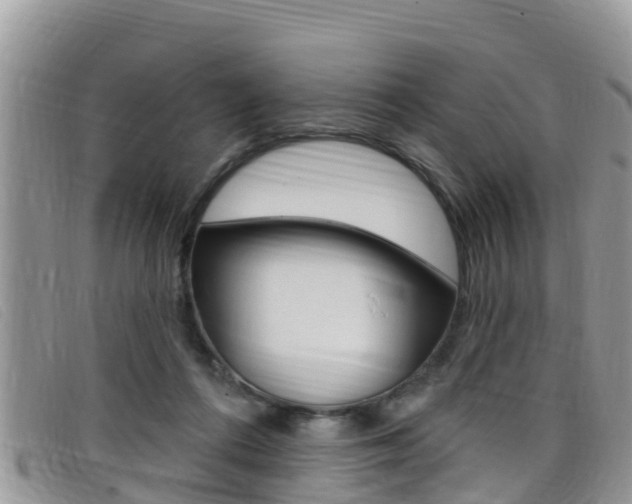 X0000099440312200805090753