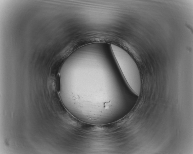 X0000099440313200805090753