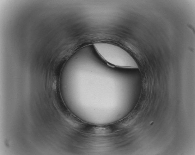 X0000099440315200805090753