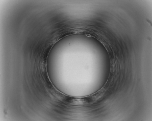 X0000099440316200805090753