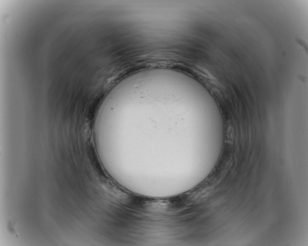 X0000099440318200805090753