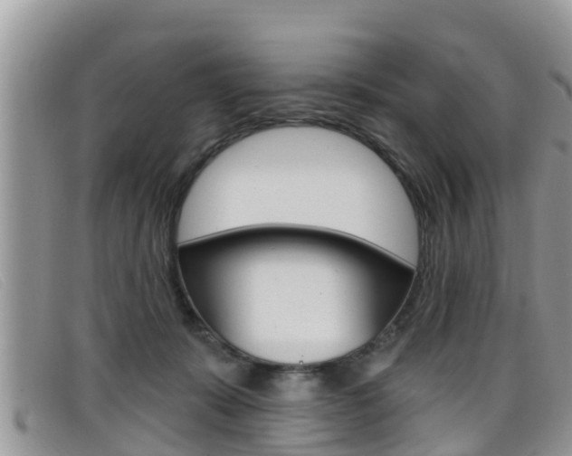 X0000099440319200805090753