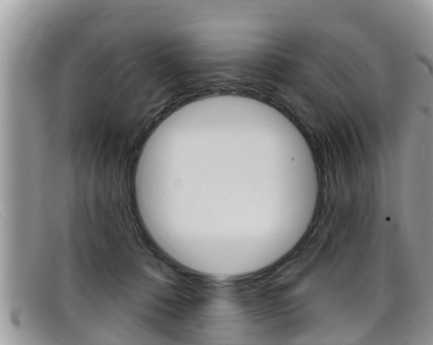 X0000099440320200805090753