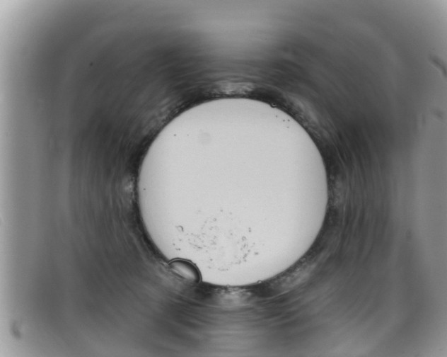 X0000099440321200805090753
