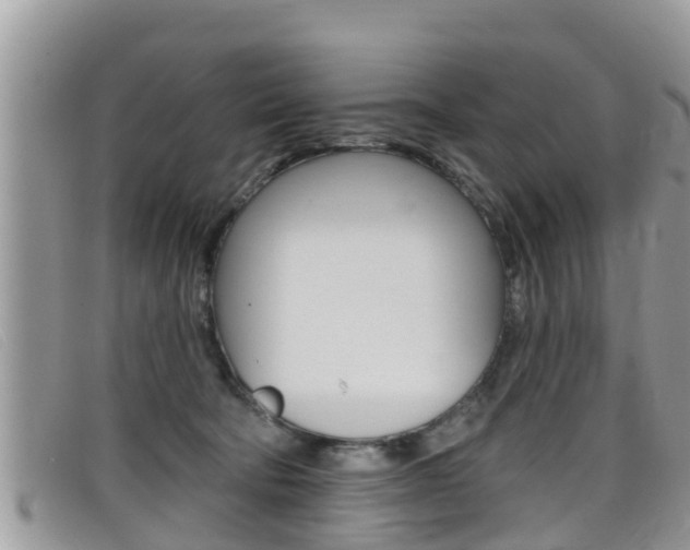 X0000099440322200805090753