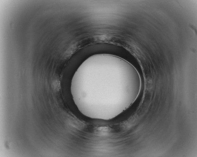 X0000099440324200805090753