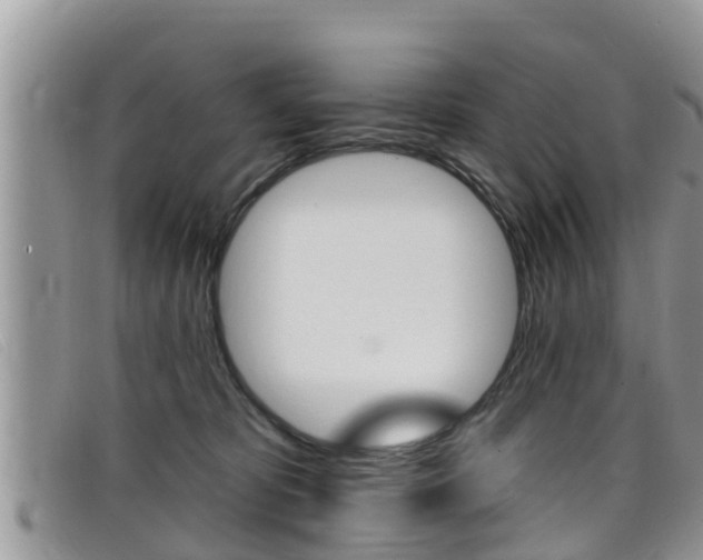 X0000099440325200805090753