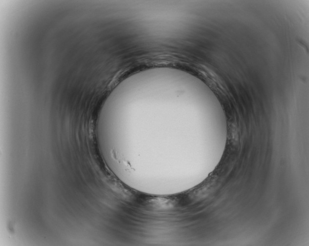 X0000099440326200805090753