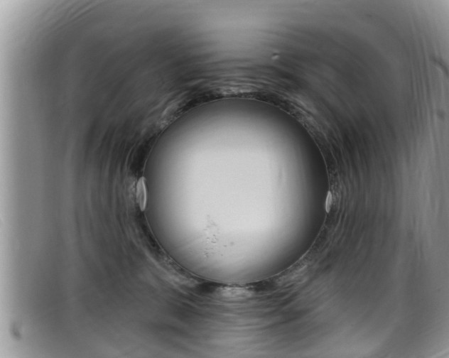 X0000099440327200805090753
