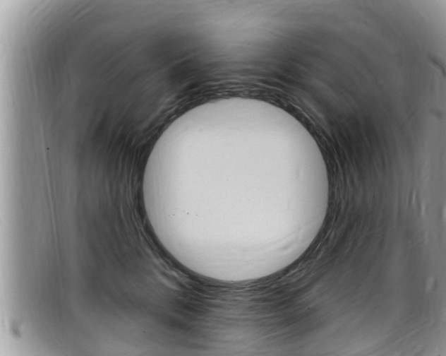 X0000099440328200805090753