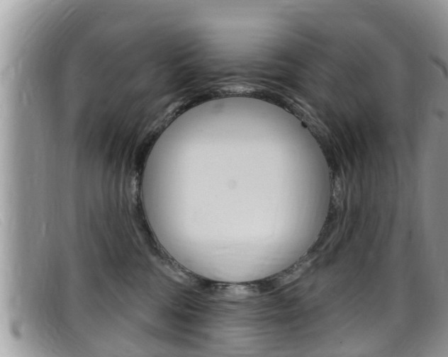 X0000099440330200805090753