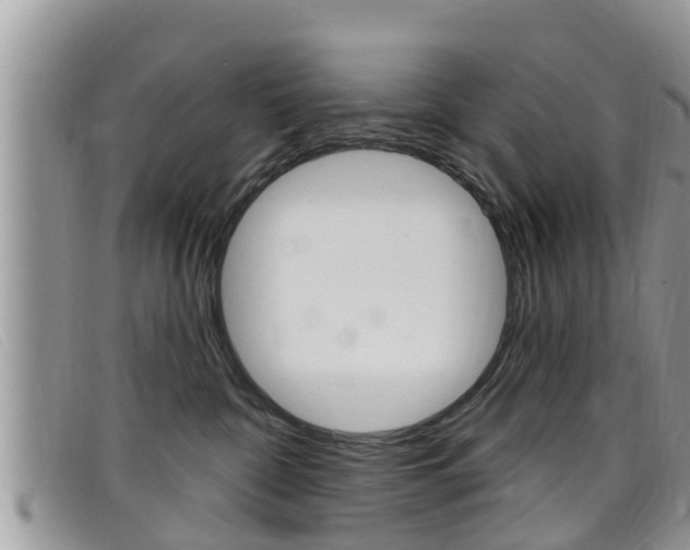 X0000099440332200805090753