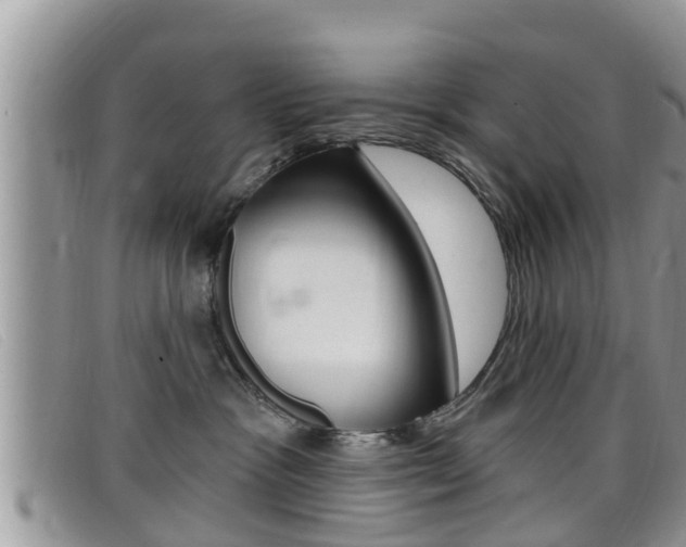 X0000099440333200805090753