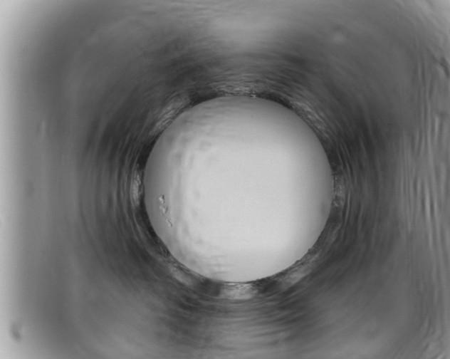 X0000099440334200805090753